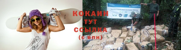 не бодяженный Кукмор