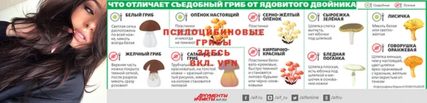 мдпв Лабытнанги