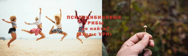 гидропоника Кулебаки