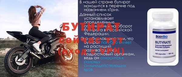 сатива Бердск
