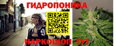 a pvp Рыбинск