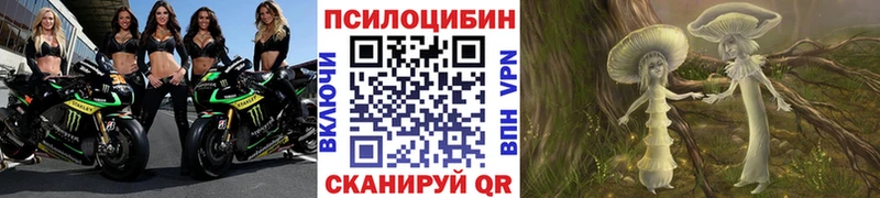 мориарти официальный сайт Юрга Псилоцибиновые грибы прущие грибы