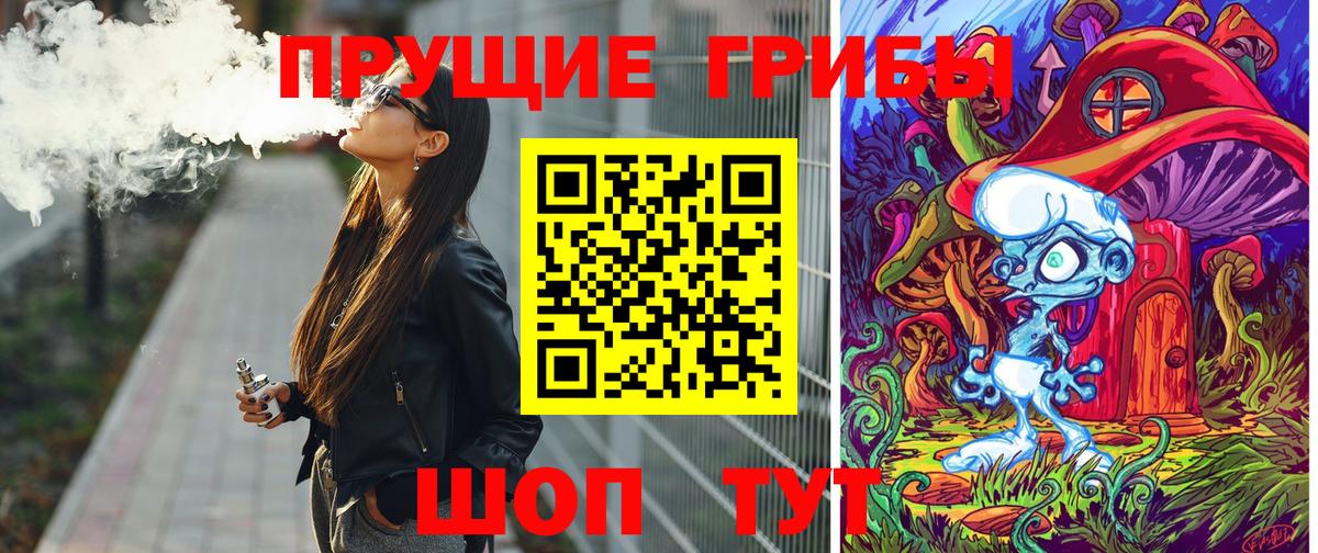 Юрга  Галлюциногенные грибы прущие грибы  Вход с VPN  Галлюциногенные грибы Psilocybine cubensis 